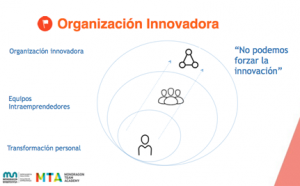 Organización Innovadora