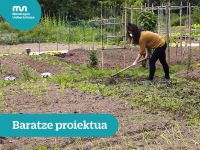 Vegetable Garden Project at the Basque Culinary Center