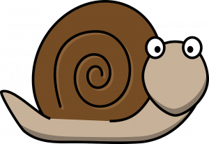 snail-160313_1280